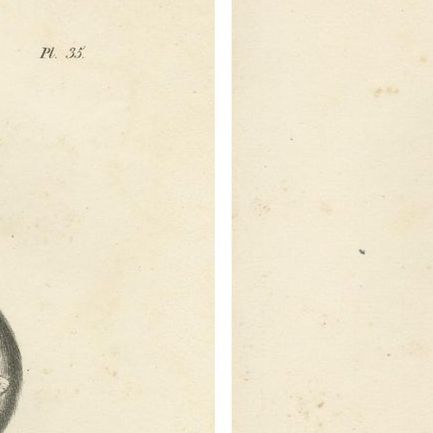 Saimiri, Night Monkey, Mico & Silky Monkey, Lithographs by C.C. Last, 1836, close-up 1