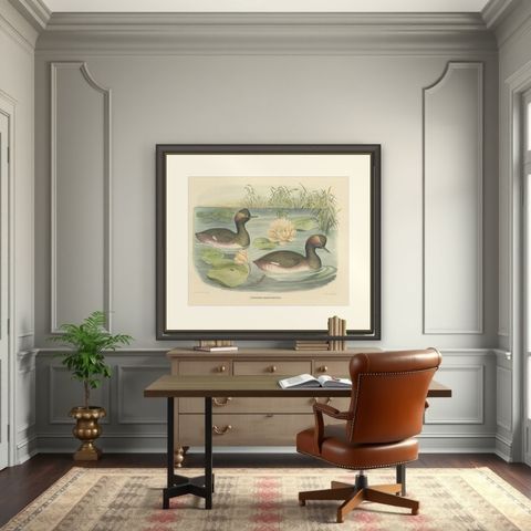 Two Black-Necked Grebes Rare Large Antique Bird Print, 1869, shown framed in a room