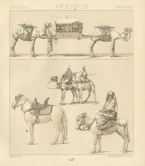 African Transport & Camel Litter, Racinet Afrique Plate, 1888, close-up 1