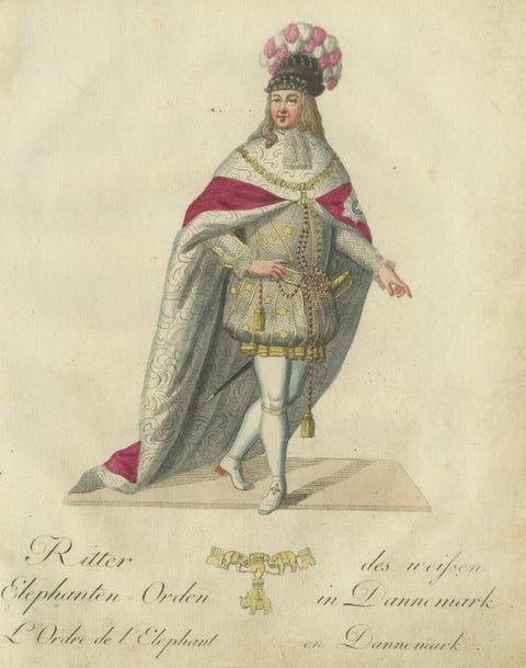 Knight of the Order of the Elephant: 18th-Century Danish Chivalric Elegance, close-up 4