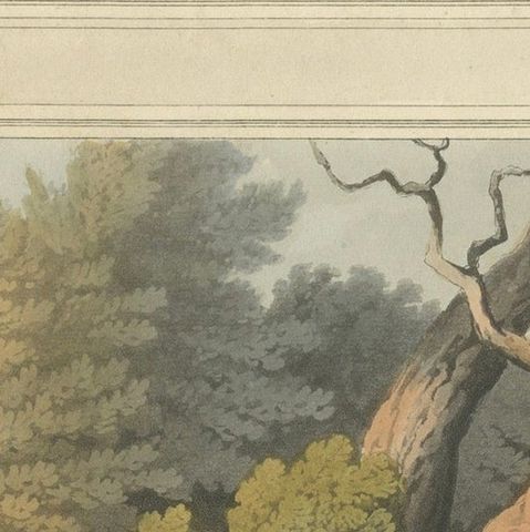 Hand-Coloured Aquatint 'American Anecdote Wolves & Boy', 1813, close-up 5