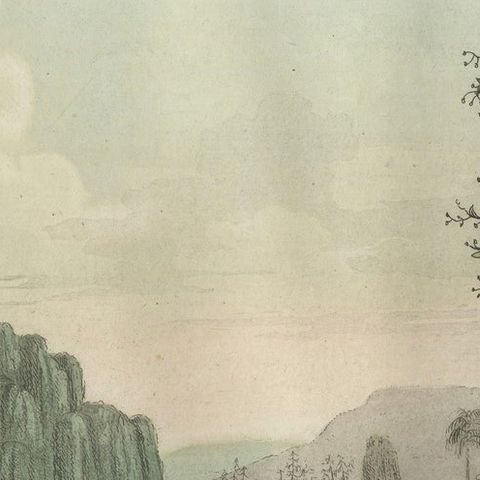 Chinese Landscape with Camel, Rhinoceros and Elephant, Antique Print, 1815, close-up 5