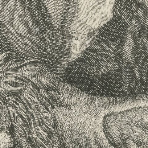 Antique Print of a sleeping Lion in a mountainous landscape, close-up 2