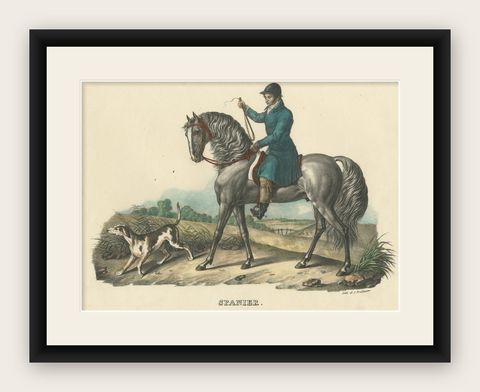 Antique Print of a Spanish Horse, shown framed