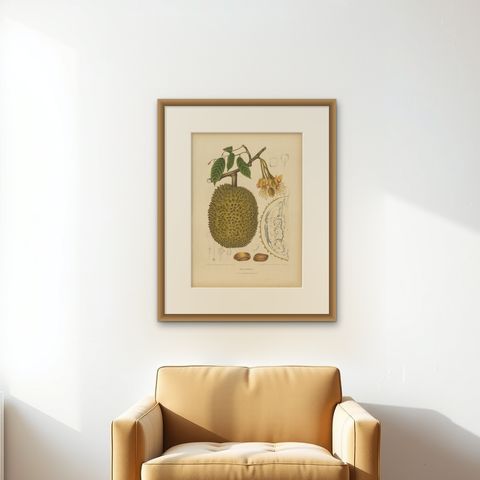 Antique Durian Botanical Chromolithograph by Hoola van Nooten, c. 1880, shown framed on a wall