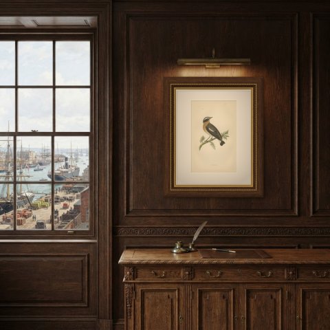Whinchat on a Conifer Twig, Hand Colored Wood Engraving, Morris, 1896, shown framed in a room