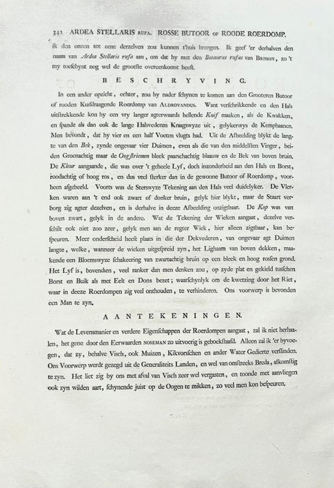 Ardea Stellaris Rufa, Eurasian Bittern from Nederlandsche Vogelen, 1809, view 10