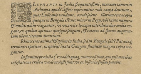 Original Copper Engraving of Various Celebrated Animals in India by De Bry, 1601, close-up 2