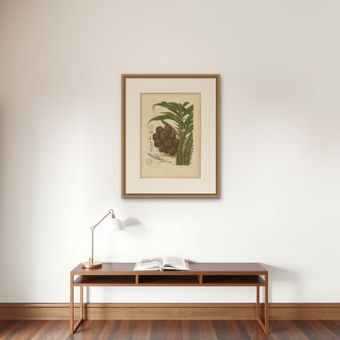 Antique Salak Palm Botanical Chromolithograph by Hoola van Nooten, c. 1880, shown framed on a wall