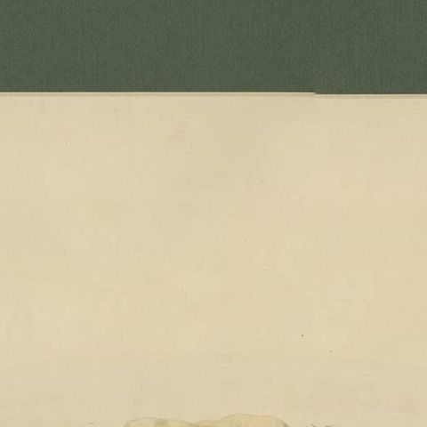 Antique Bird Print of Least Auk made after D.G. Elliot, 1869, close-up 1