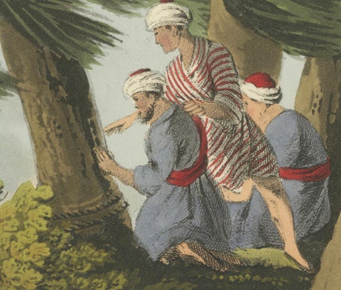 Foreign Field Sports: Egyptians, Crocodile Catching by Dubourg & Howitt, 1813, close-up 2