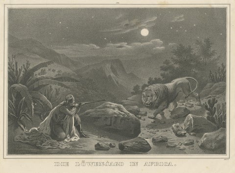 Antique Print of a Lion Hunt in Africa, view 3