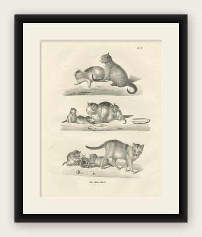 19th-Century Lithograph of Domestic Cats in Playful and Nurturing Scenes, shown framed