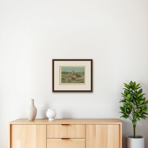 Wild Geese on a Rocky Shore, Elegant Antique Bird Chromolithograph c.1880, shown framed on a wall