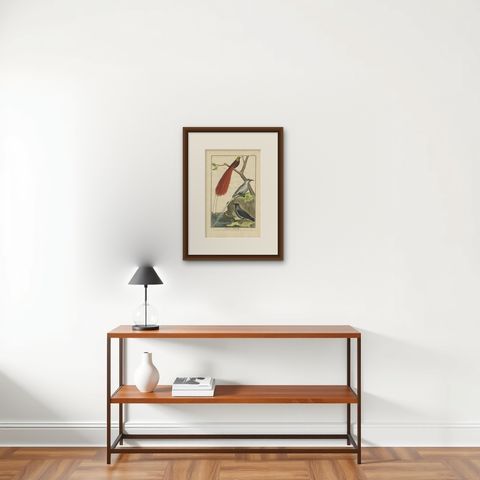 Antique Bird Print, Bird of Paradise, Tropicbird, Hooded Crow, circa 1760, shown framed on a wall