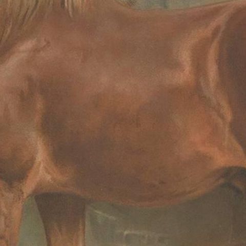Antique Print of the Suffolk Horse by O. Eerelman, 1898, close-up 2