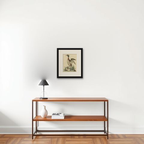 Antique Bird Print of a Horned Grebe, shown framed on a wall