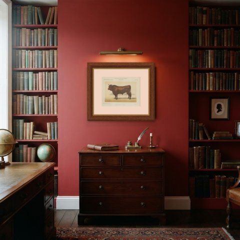 Salers Bull, French Cattle Breed, Antique Chromolithograph by Borie, 1863, shown framed in a room