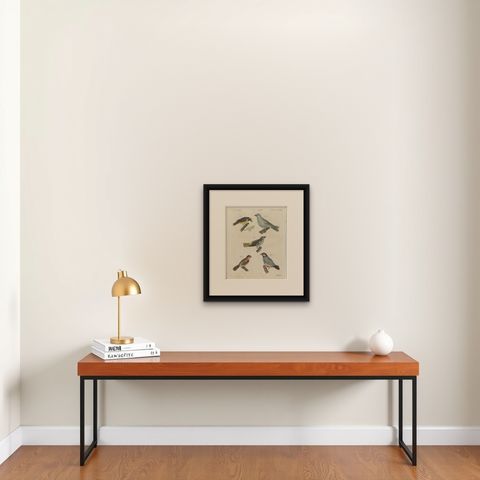 Tanagers and Java Sparrow Songbirds, Antique Bertuch Print, circa 1805, shown framed on a wall