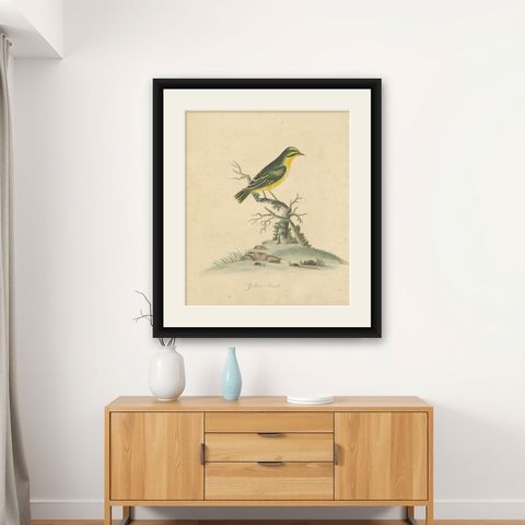 Late 18th-century Hand-Colored Copperplate Engraving of the Yellow Finch, 1794, shown framed on a wall
