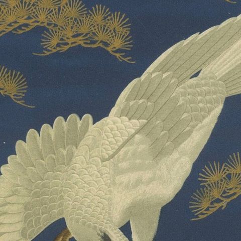 Japanese White Hawk on Pine Branch: Antique Lithograph, 1880s, close-up 6
