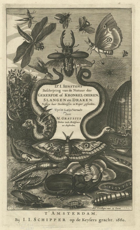 Natural History Title Page, Insects & Serpents, Jan Jonston, Amsterdam 1660, close-up 1