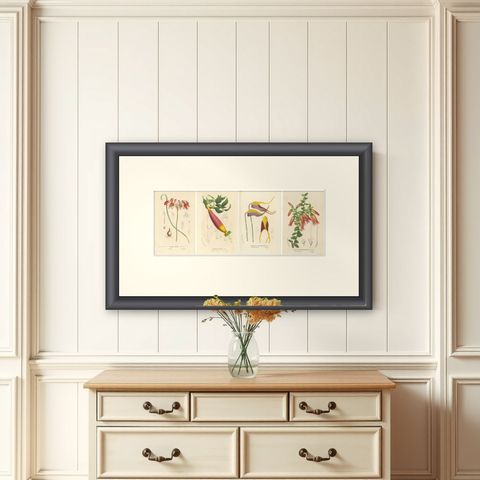 Floral Collection: Coral Drops, Prairie Gentian, Monkey Orchid, Bellflower, 1875, shown framed on a wall