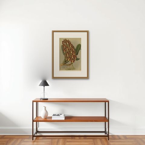 Red and Gold Orchid Print, Odontoglossum Coronarium, Reichenbachia c.1888, shown framed on a wall