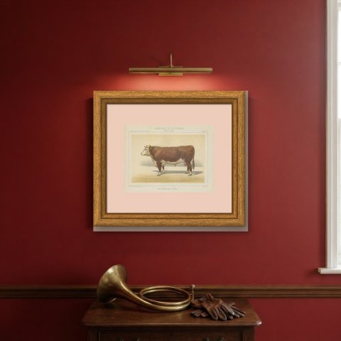 Hereford Bull, British Cattle Chromolithograph from Animaux de la Ferme, 1863, shown framed on a wall