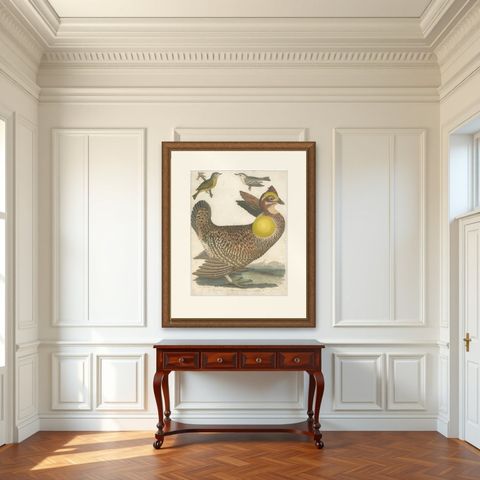 Antique Bird Print of the Pinnated Grouse and Warblers by Wilson 'c.1820', shown framed in a room