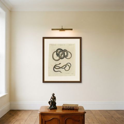 Four Snakes in Colourful Coils, Antique Bertuch Print, Vienna, circa 1805, shown framed on a wall