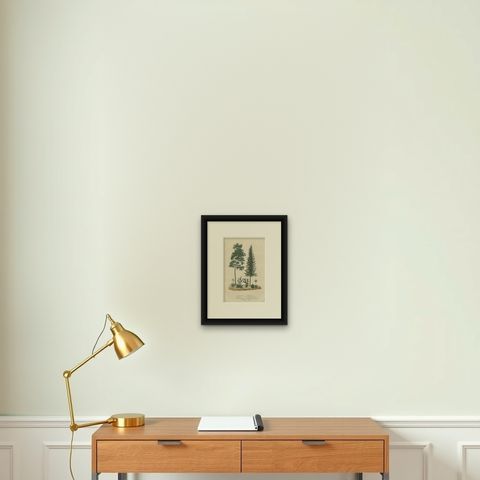 A Heritage of Flora: Original Antique Engraving of Diverse Plant Species, 1845, shown framed on a wall