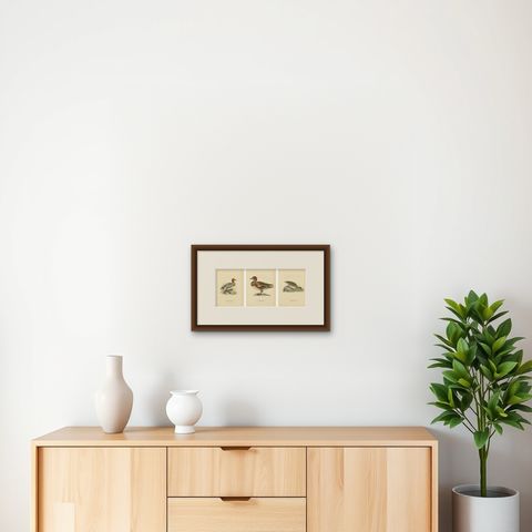 1929 Swedish Ornithology Lithographs, Eurasian Wigeon Trio, shown framed on a wall