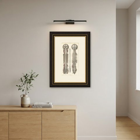 Brain and Spinal Cord in Situ, Hirschfeld Double Folding Plate, 1866, shown framed on a wall
