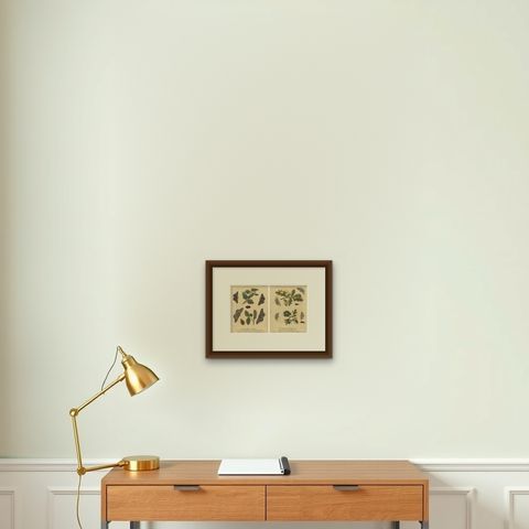 Antique English Moths with Oak Leaves, Hand-Colored Entomology Engravings 1720, shown framed on a wall