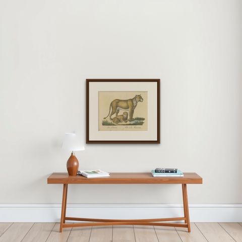 Lioness and Cub, Brodtmann Hand-Colored Natural History Lithograph, 1816, shown framed on a wall