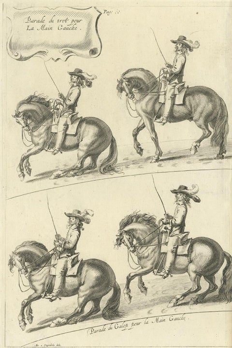 Decorative Antique Print of the Schooling of Horses in Galop, c.1740, close-up 1