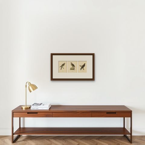 Scandinavian Birds of Prey Triptych, Svenska Fåglar Lithographs, 1929, shown framed on a wall