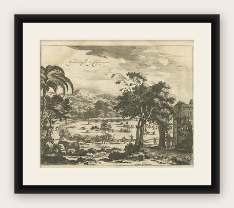 Antique Print of Horse Catching in Ceylon/Sri Lanka by P. Baldaeus (1672), shown framed