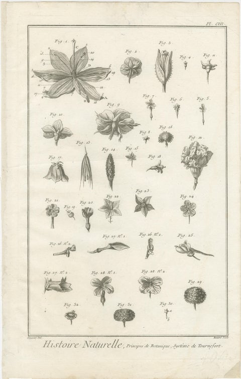 Pair of Antique Botanical Engravings, Tournefort & Linnæus Systems, ca. 1770, view 2