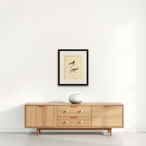 Antique Bird Print of the Pied Flycatcher, 1927, shown framed on a wall