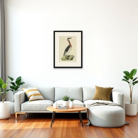 Antique Bird Print of the Red-Necked Grebe by Sepp & Nozeman, 1829, shown framed in a room