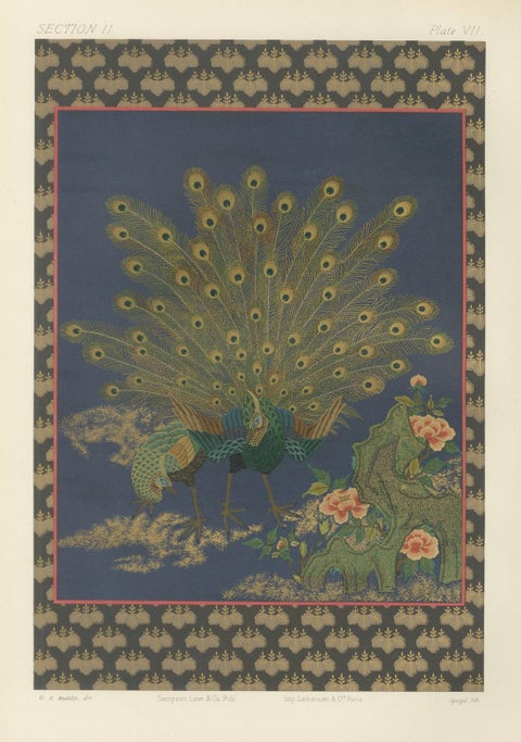 Japanese Peacocks in Full Plumage: Antique Lithograph, 1880s, close-up 6