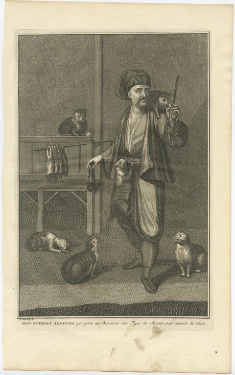 Antique Print of the Albanian Dgi-Guerdgi Feeding Sheep Liver to Cats, 1727, view 2