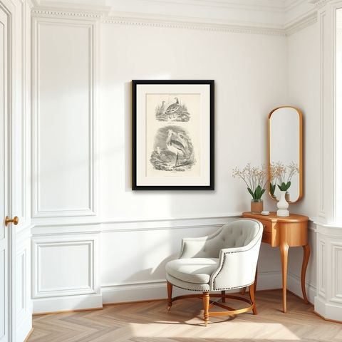 Antique Bird Print of a Male Little Bustard and a Great Bustard by Partington, shown framed in a room