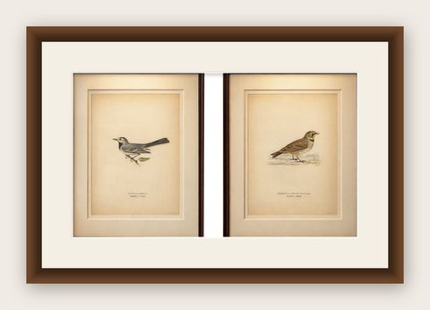 Minimalist Nordic Bird Lithograph Pair, Scandinavian Natural History, 1929, shown framed