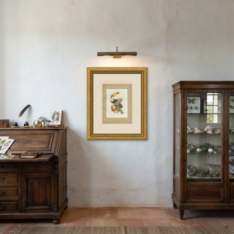 Toucans and Aracaris, Brazilian Bird Print, Descourtilz, 1944, shown framed in a room