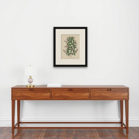Antique Handcolored Flower Print of the Deutzia Crenata, 1868, shown framed on a wall
