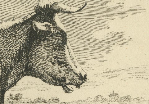 Etching of Resting Cow by Fence: Rural Scene by Anthony Oberman, 1810, close-up 1