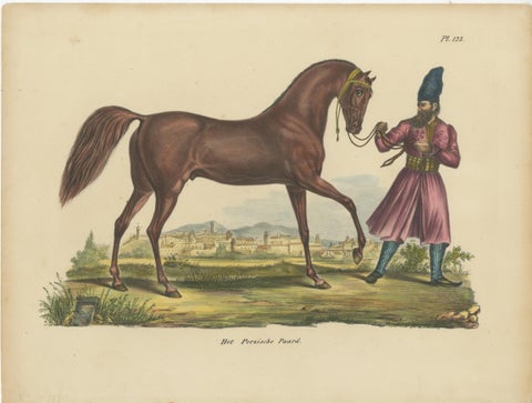 Antique Hand Colored Print of a Persian Horse, view 2